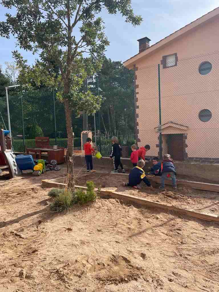 patis_menjador_octubre (1)