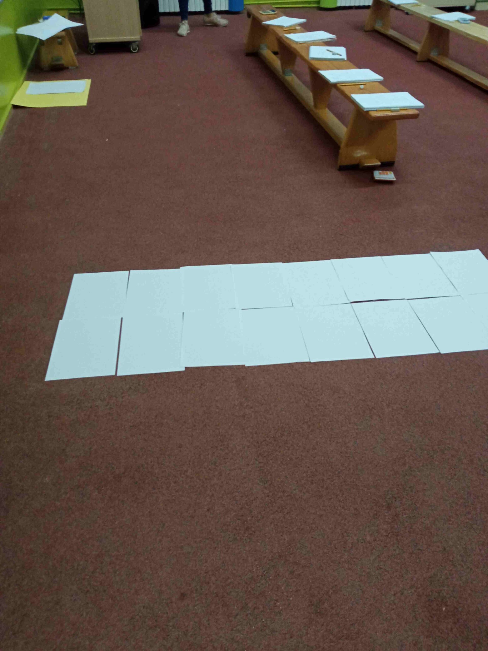 repte metre quadrat cs (13)