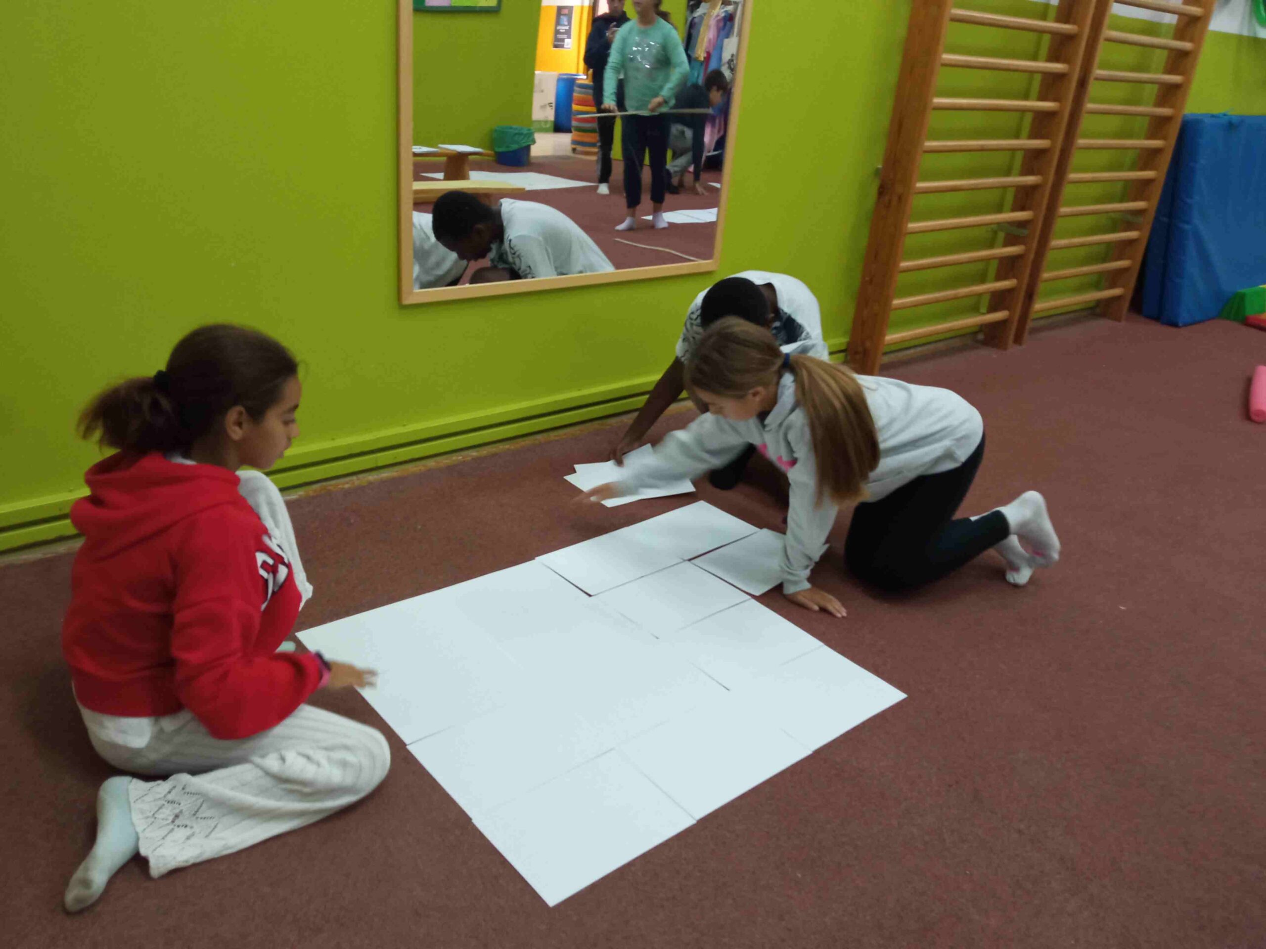 repte metre quadrat cs (3)