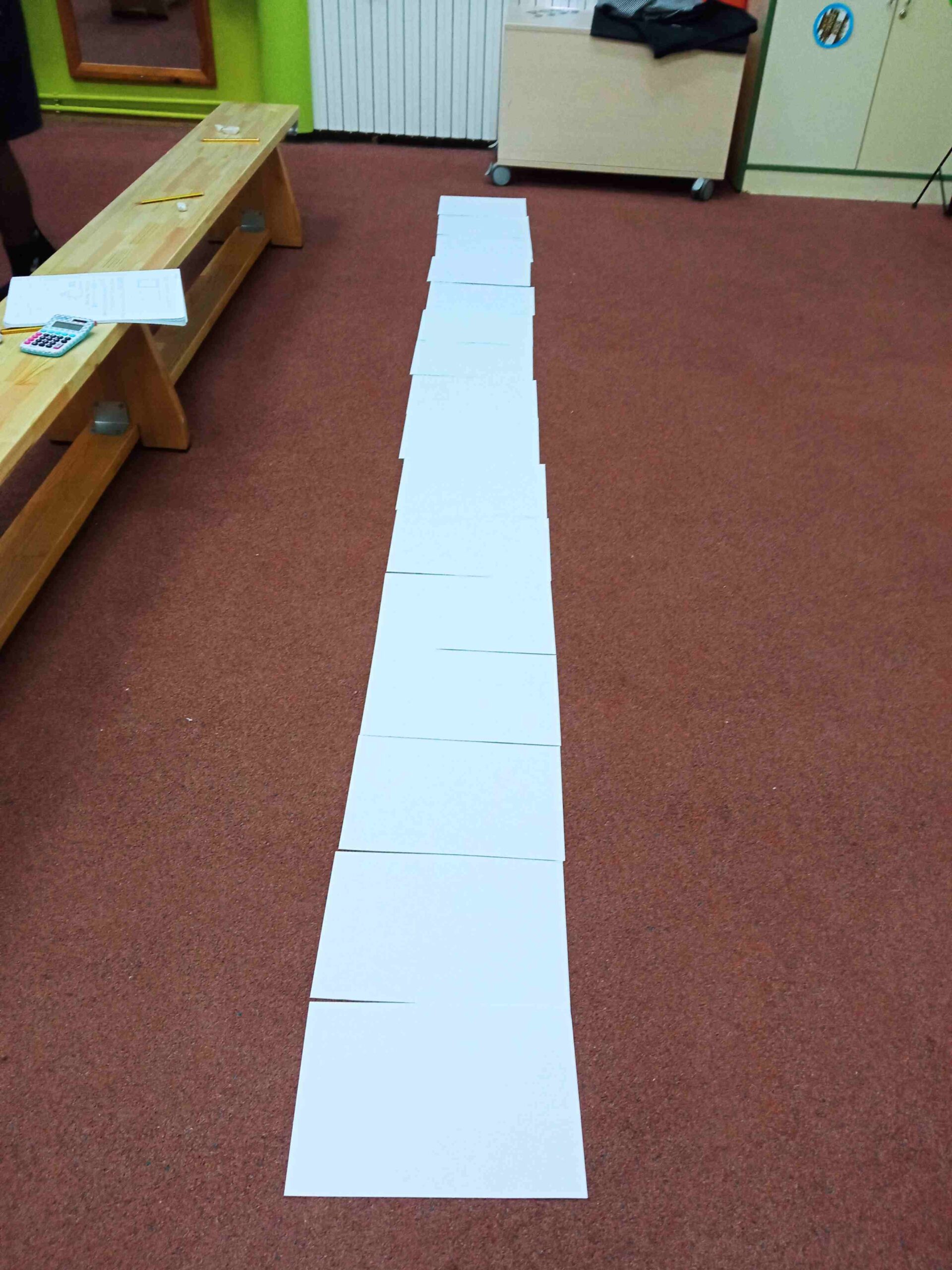 repte metre quadrat cs (9)