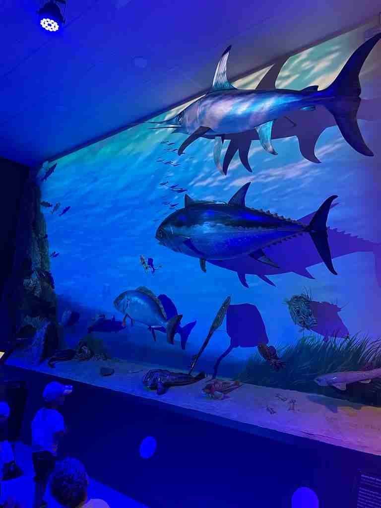 sortida_port_tarragona_2023 (28)