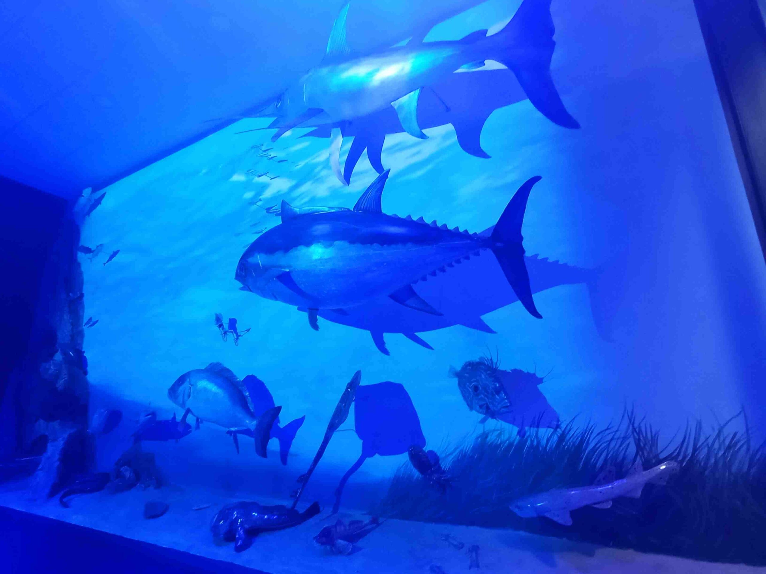 sortida_port_tarragona_2023 (53)