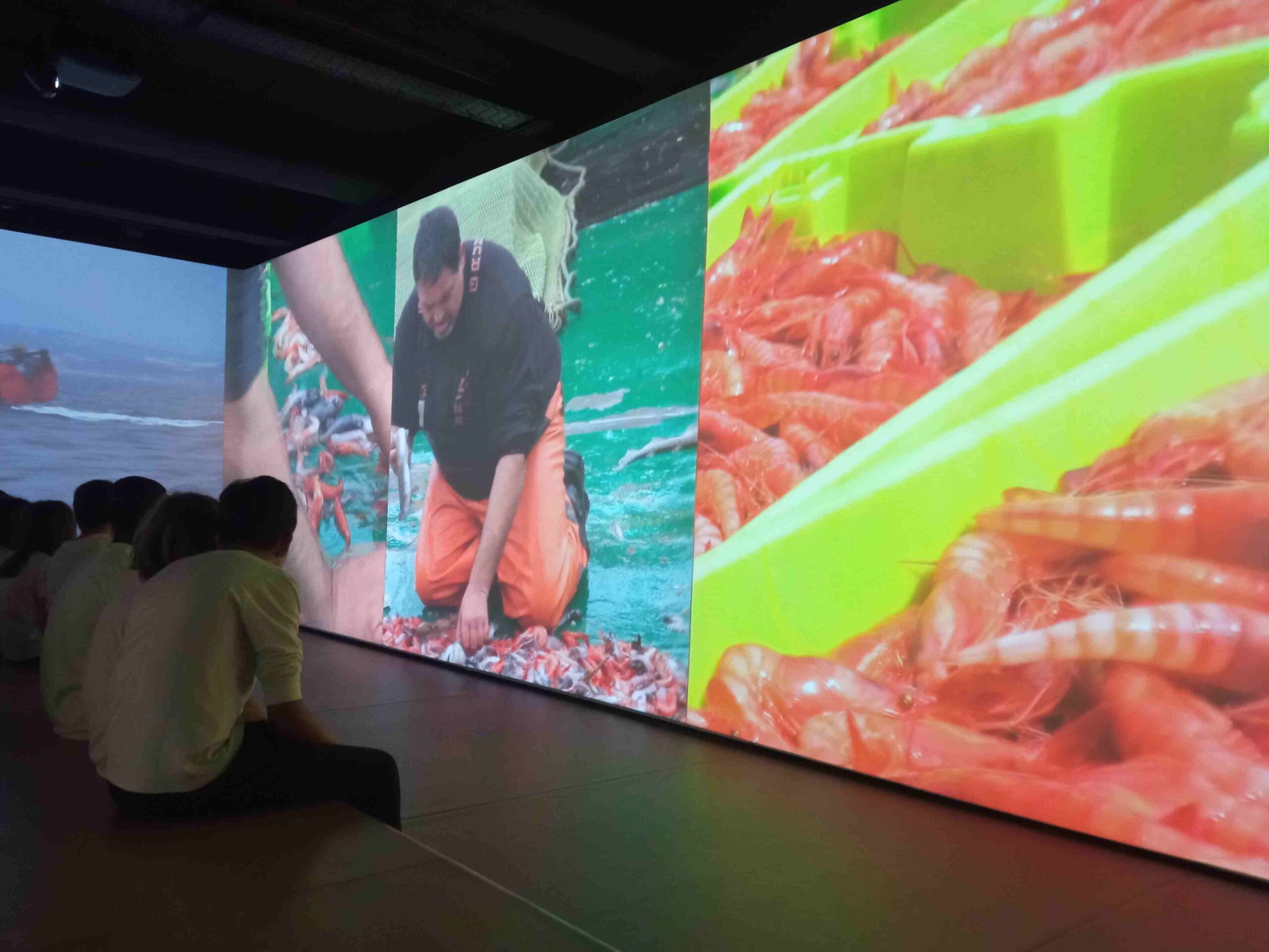 sortida_port_tarragona_2023 (66)