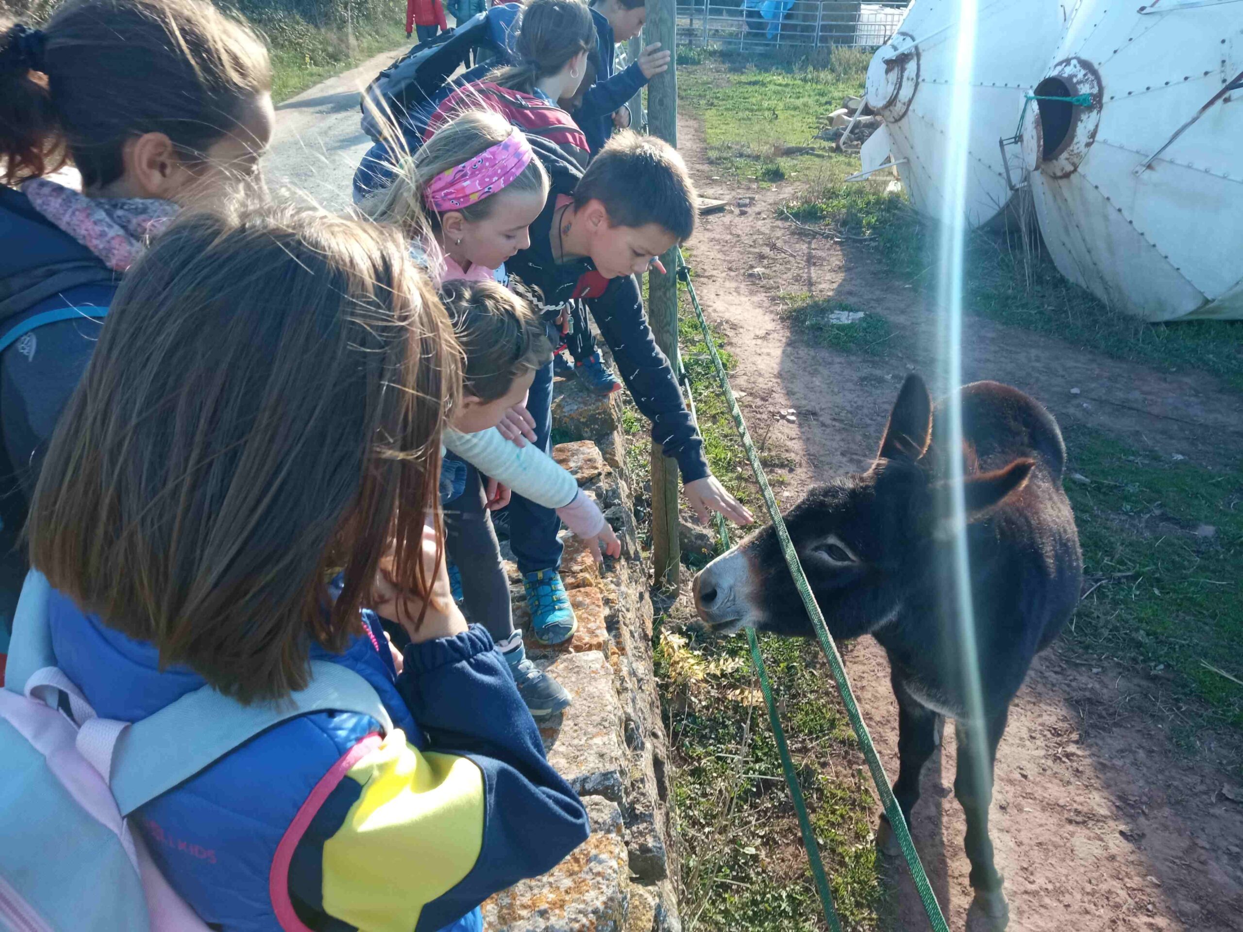 sortida pla guardia tardor (16)