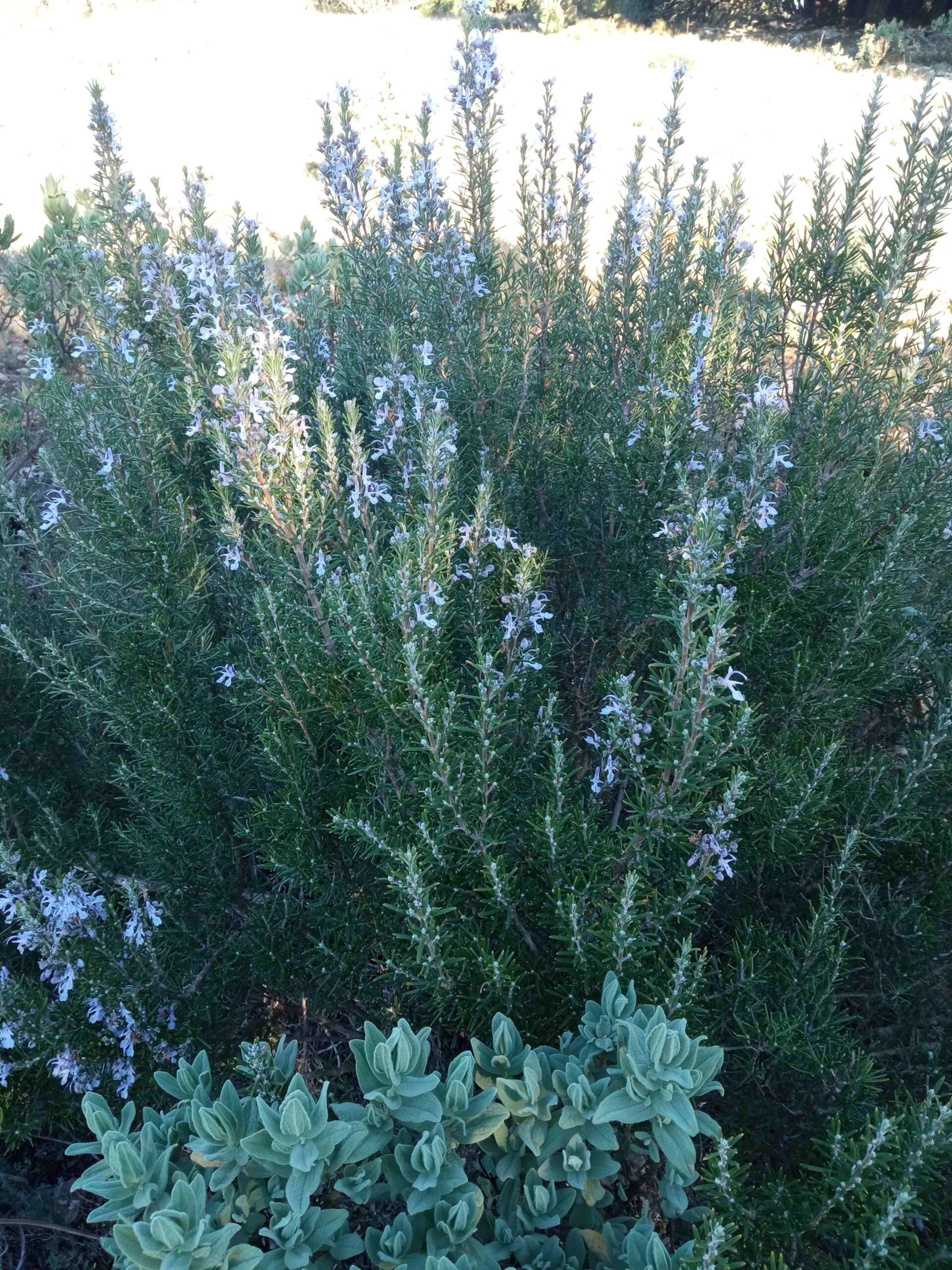 sortida pla guardia tardor (22)