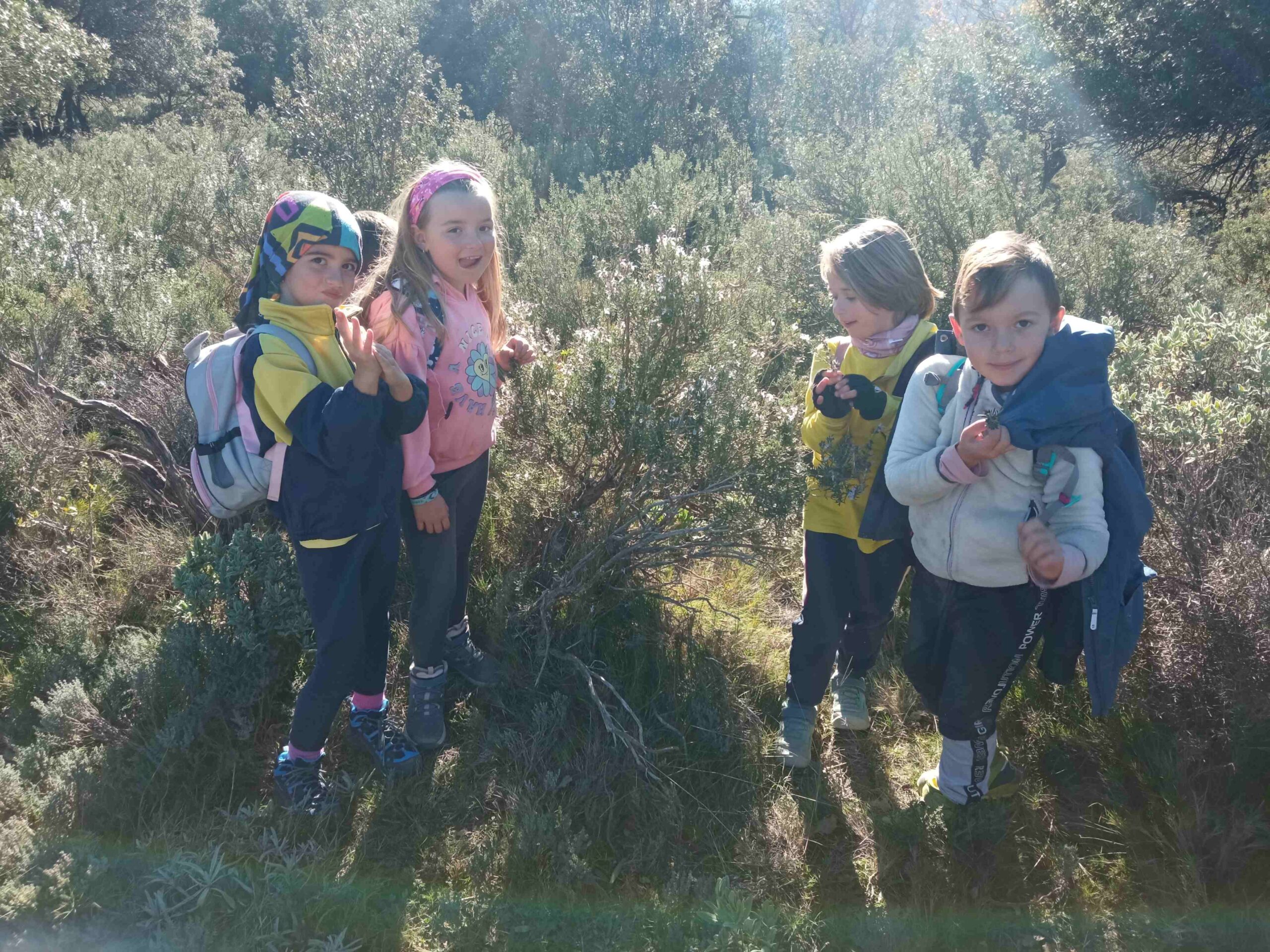 sortida pla guardia tardor (23)