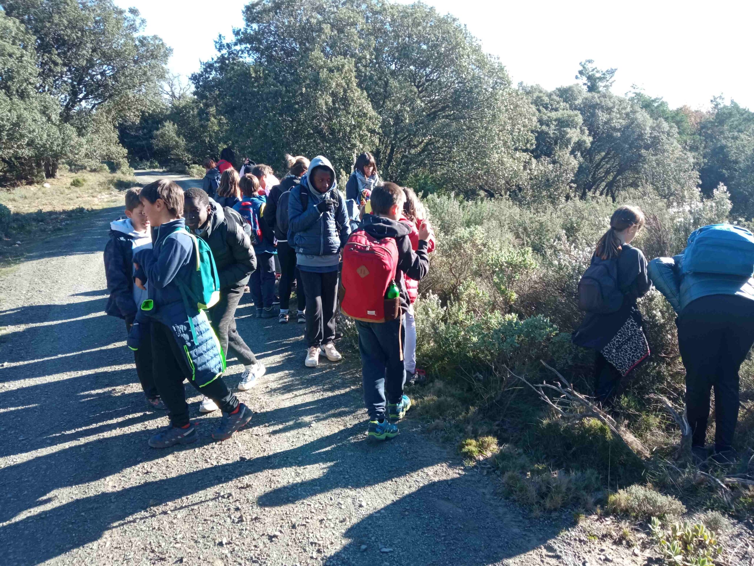 sortida pla guardia tardor (24)