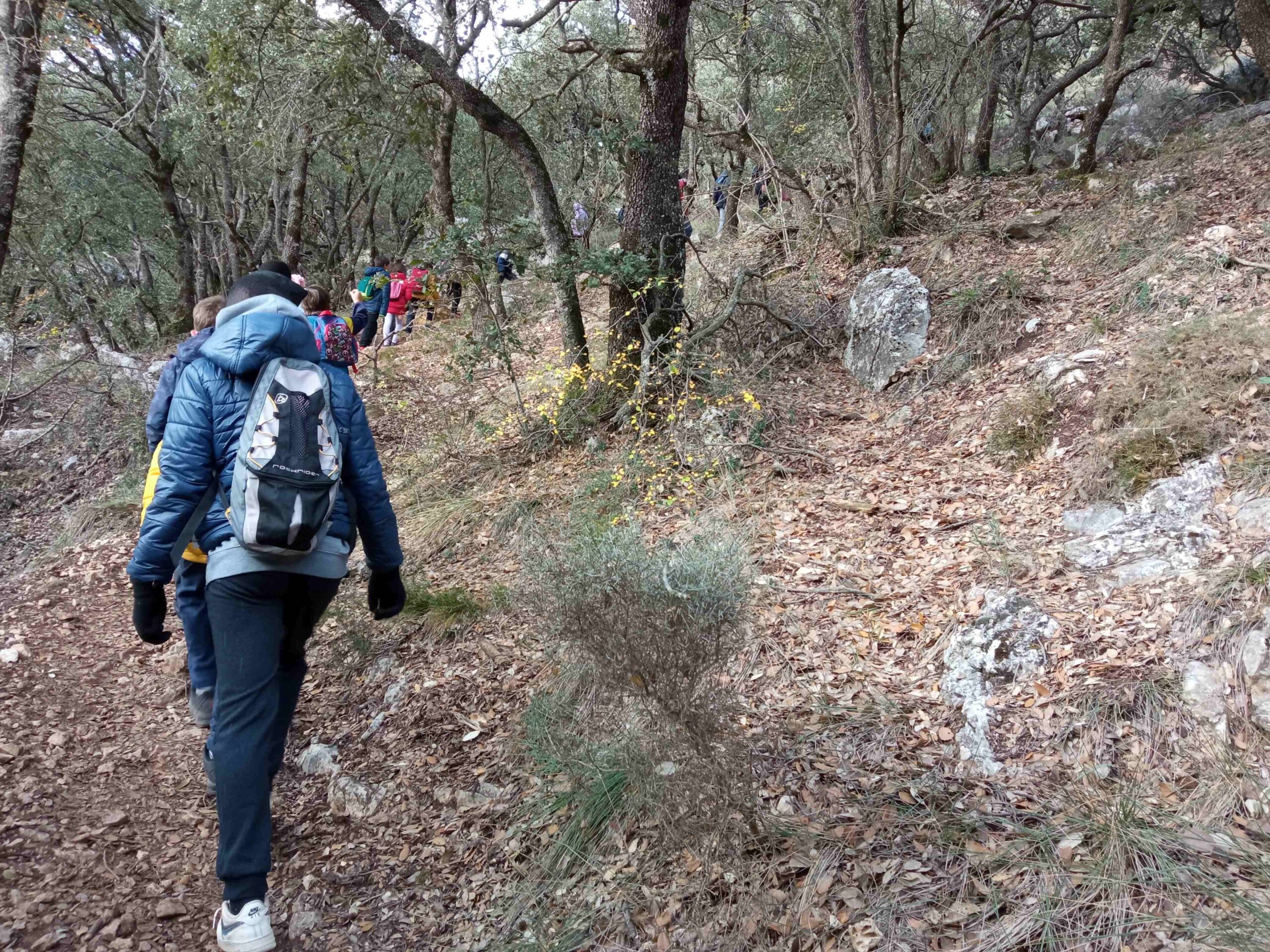 sortida pla guardia tardor (3)