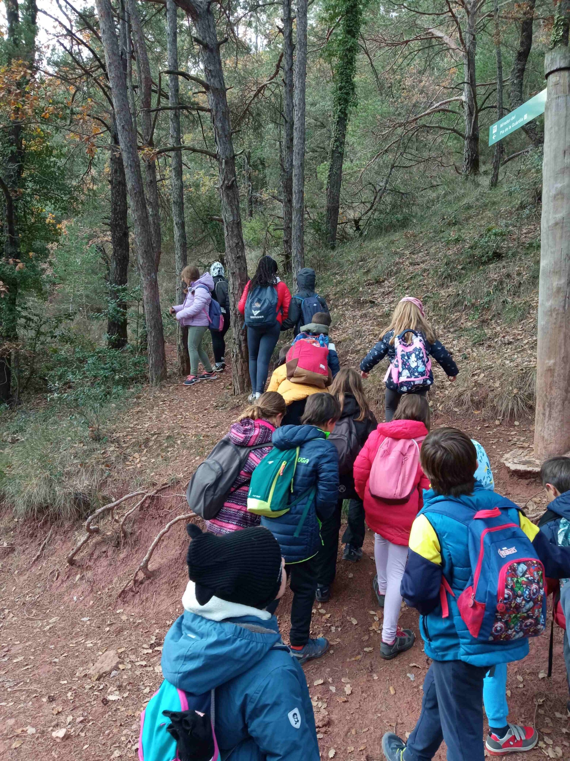 sortida pla guardia tardor (5)