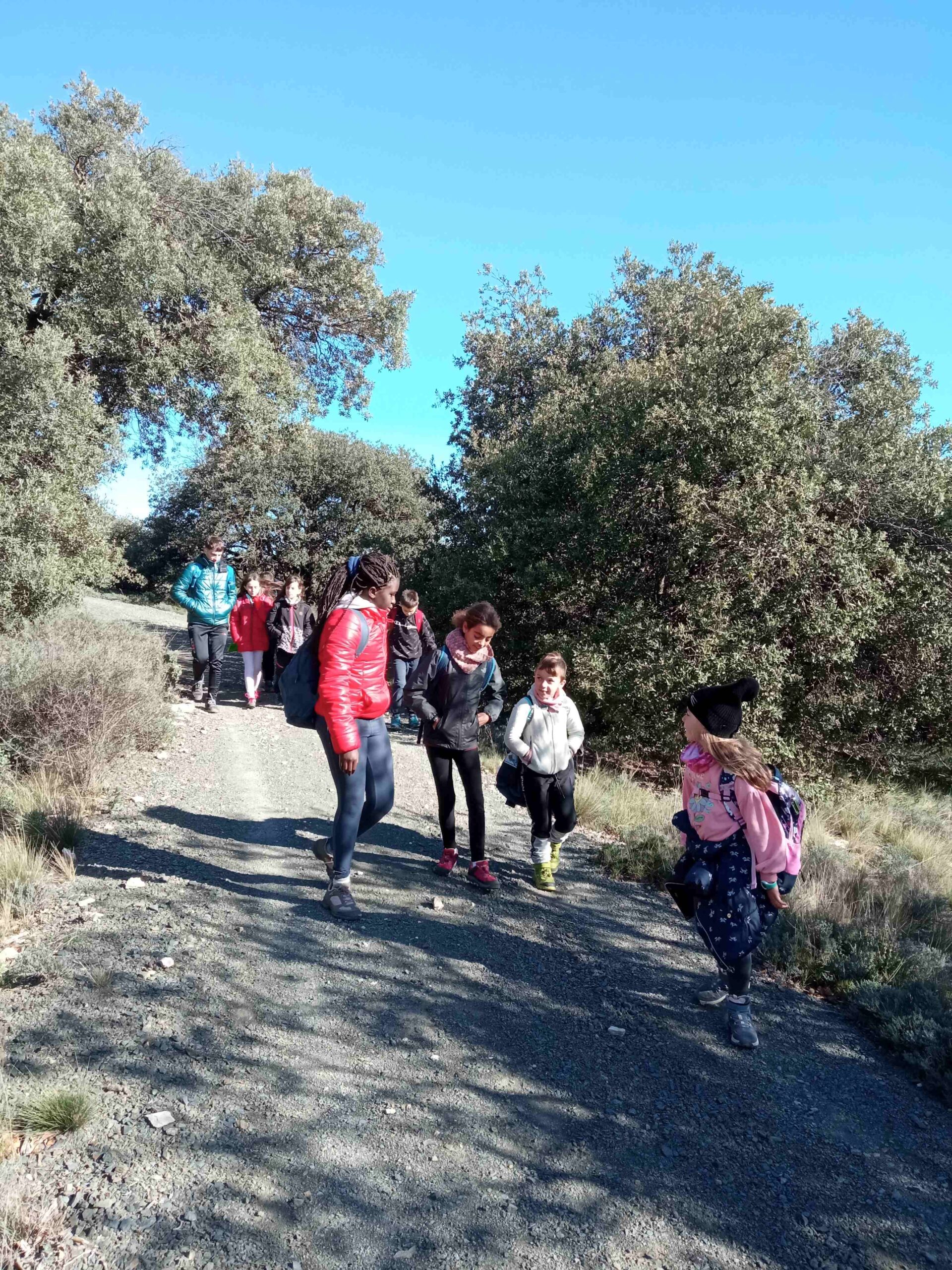 sortida pla guardia tardor (60)