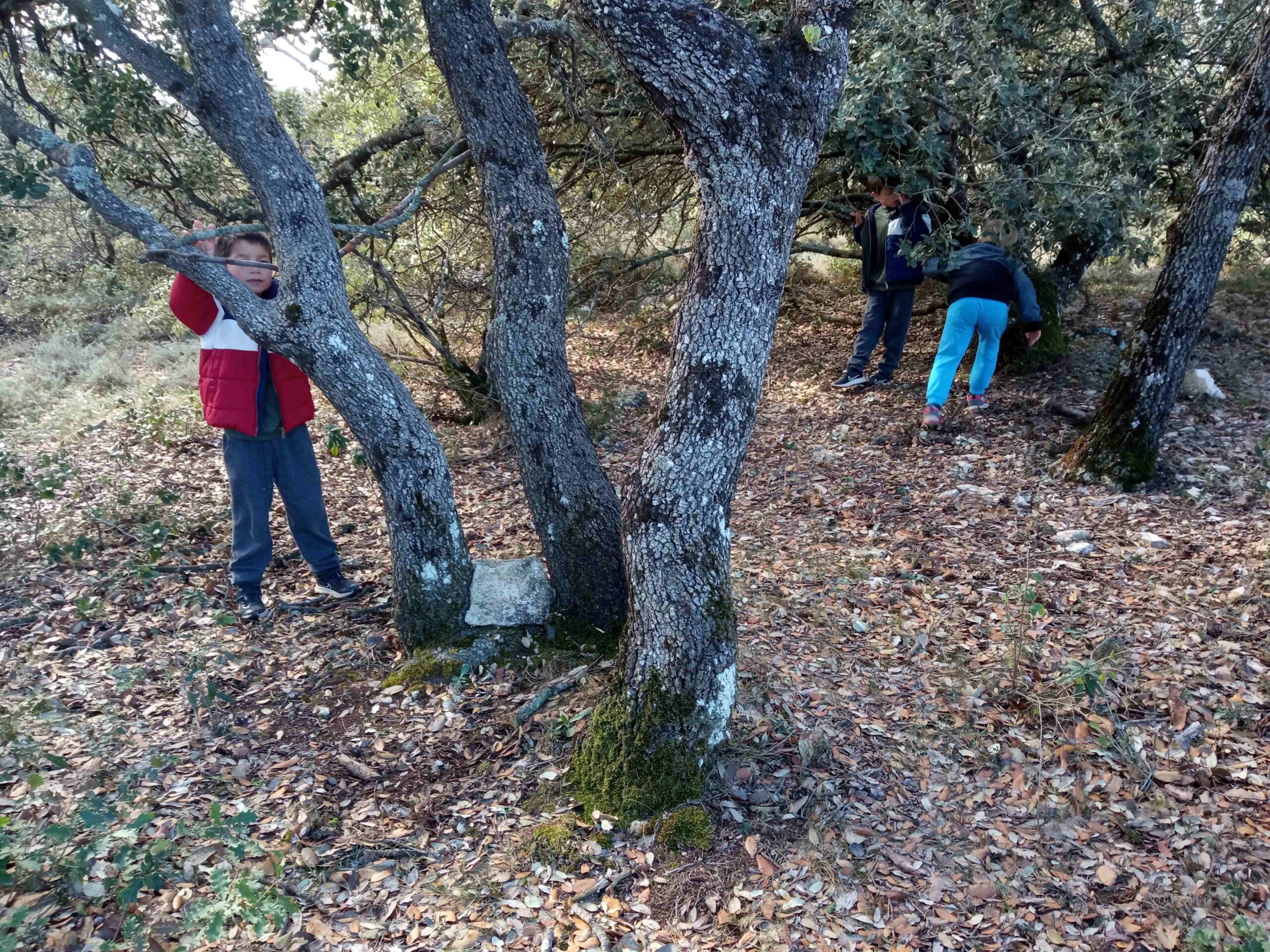 sortida pla guardia tardor (62)