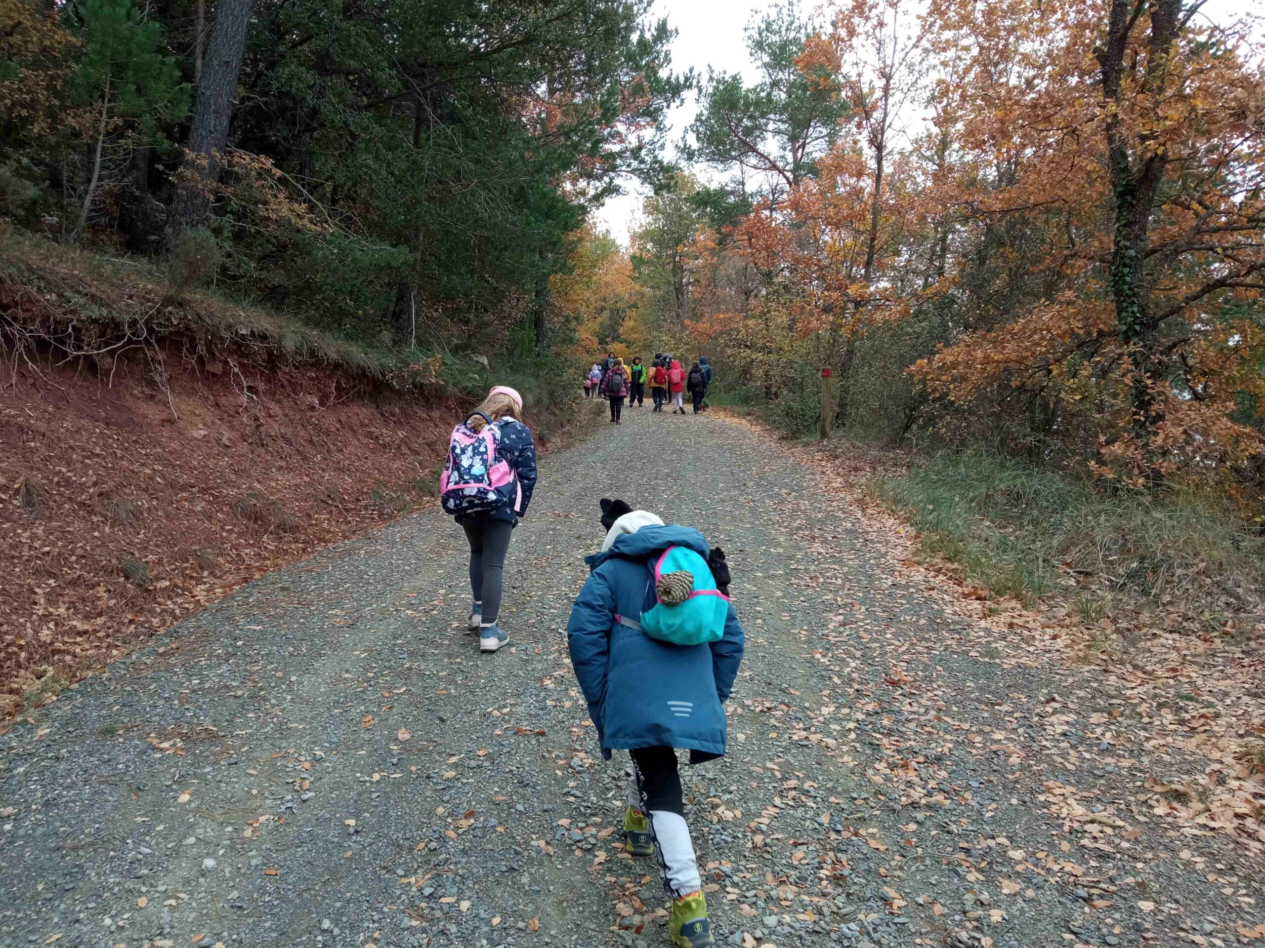 sortida pla guardia tardor (7)