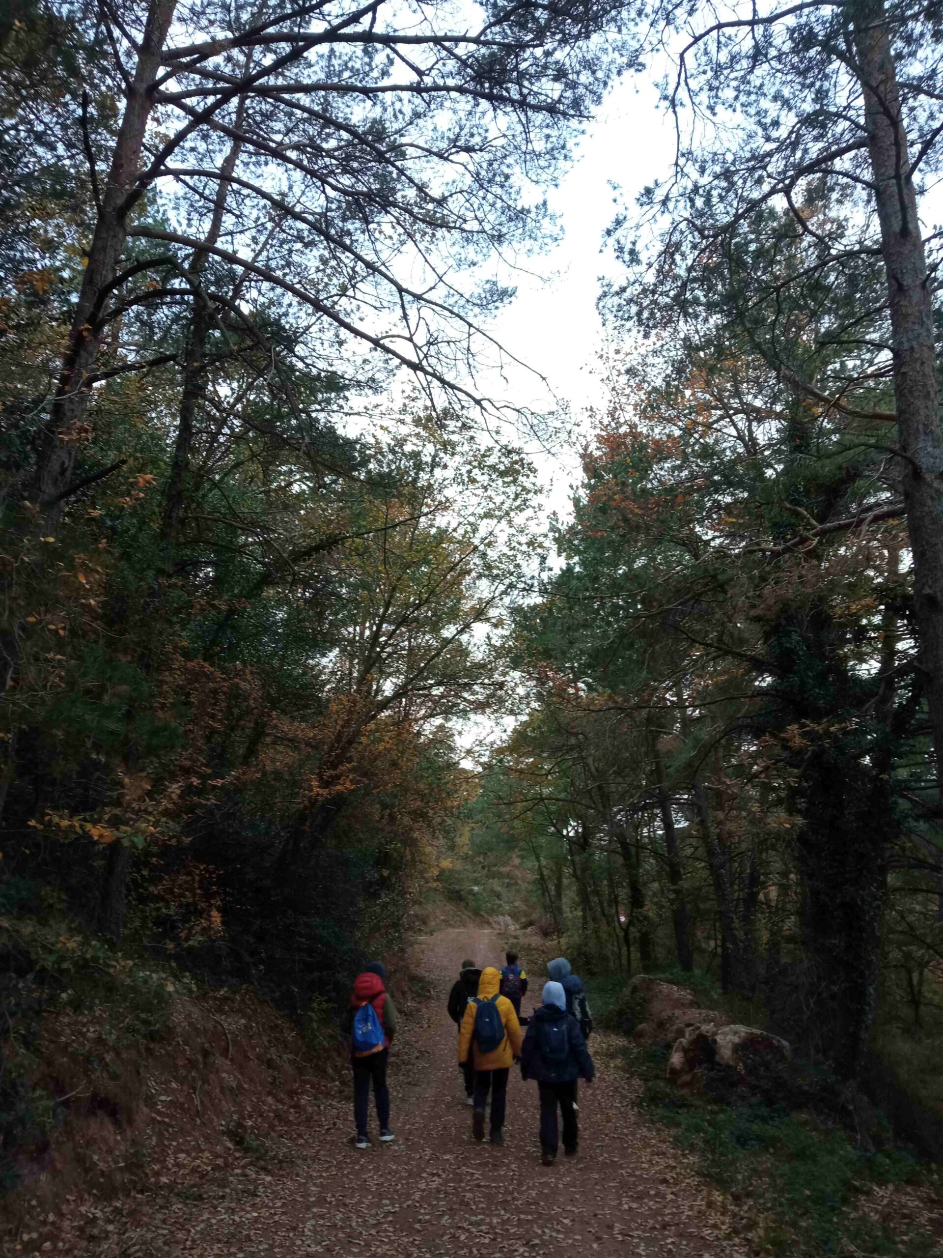 sortida tardor pla guardia (22)