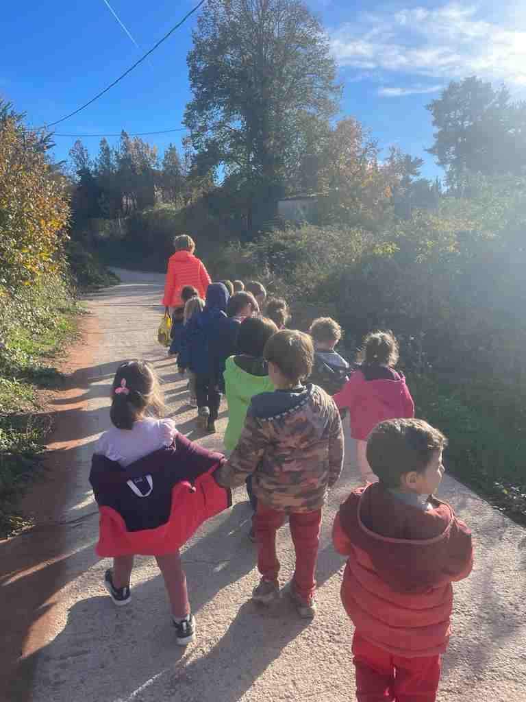 sortida_tardor_infantil (1)