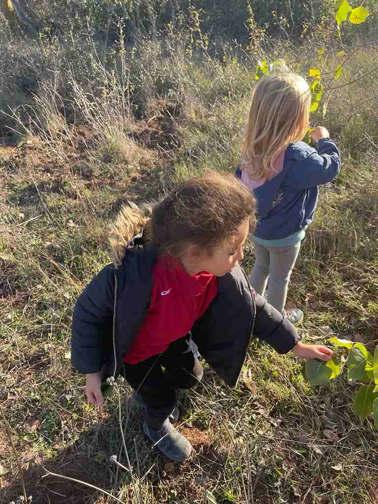 sortida_tardor_infantil (10)