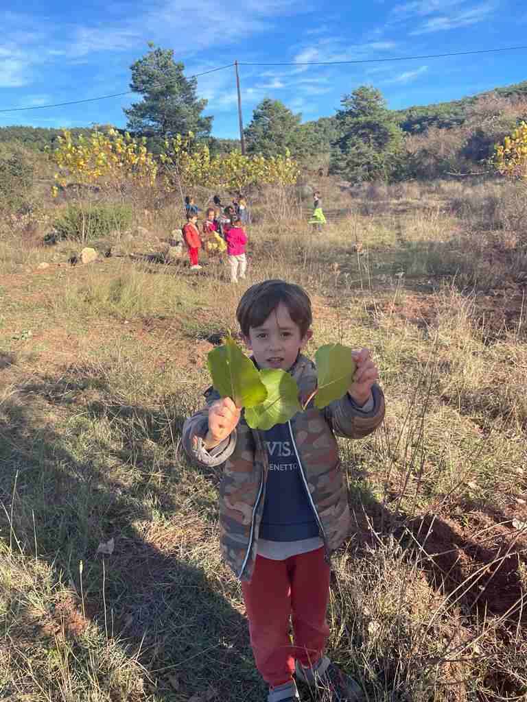 sortida_tardor_infantil (11)