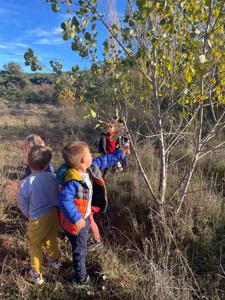 sortida_tardor_infantil (12)