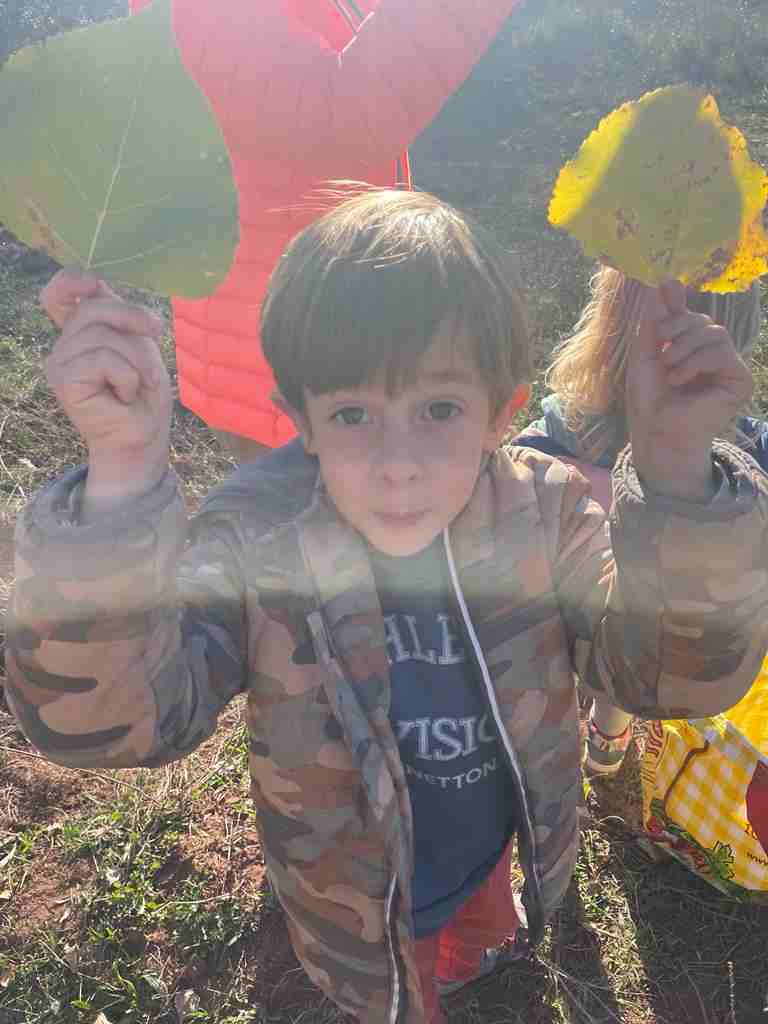 sortida_tardor_infantil (14)