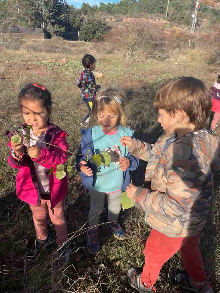 sortida_tardor_infantil (16)