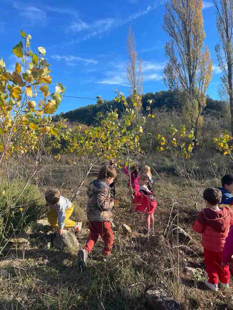sortida_tardor_infantil (18)
