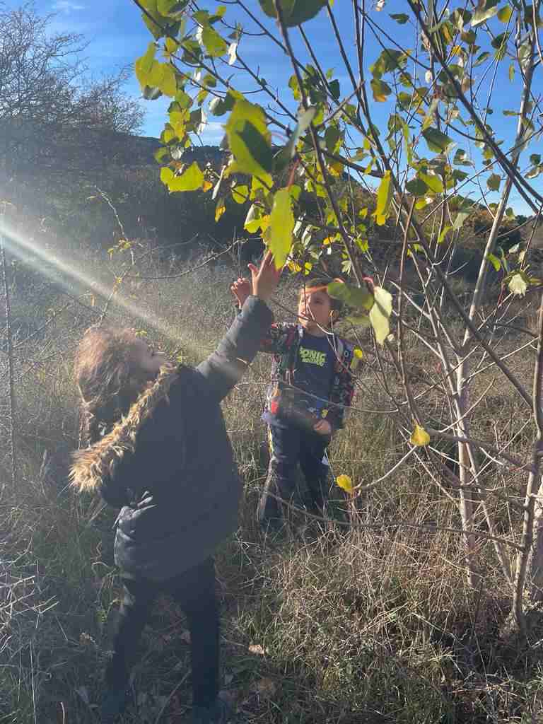 sortida_tardor_infantil (2)