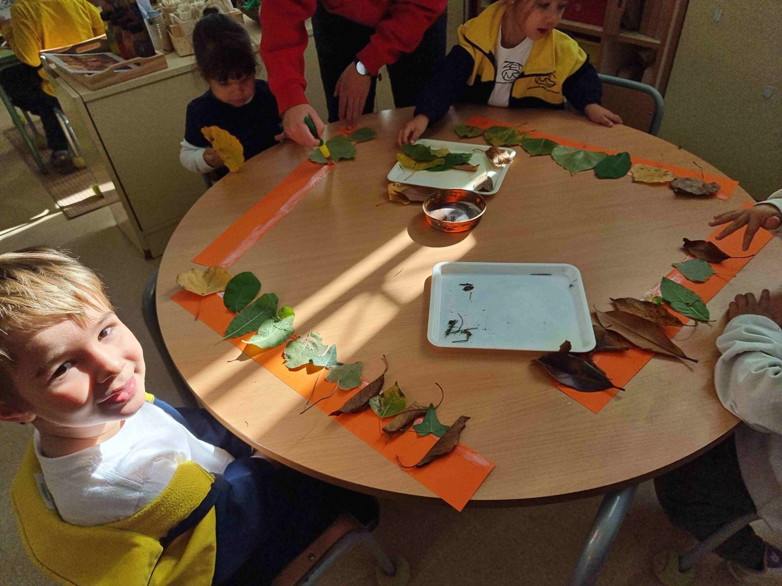 sortida_tardor_infantil (20)