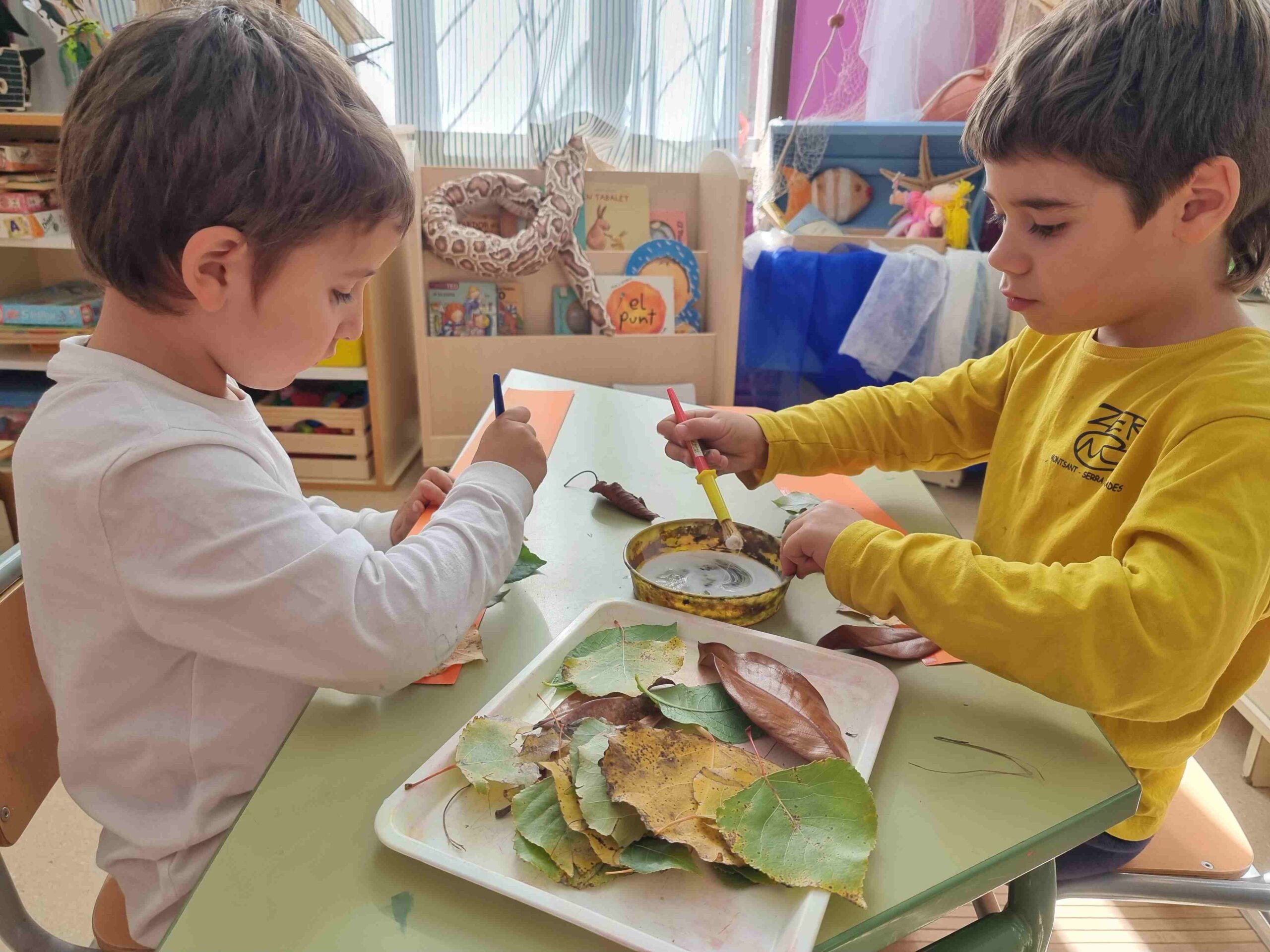 sortida_tardor_infantil (23)