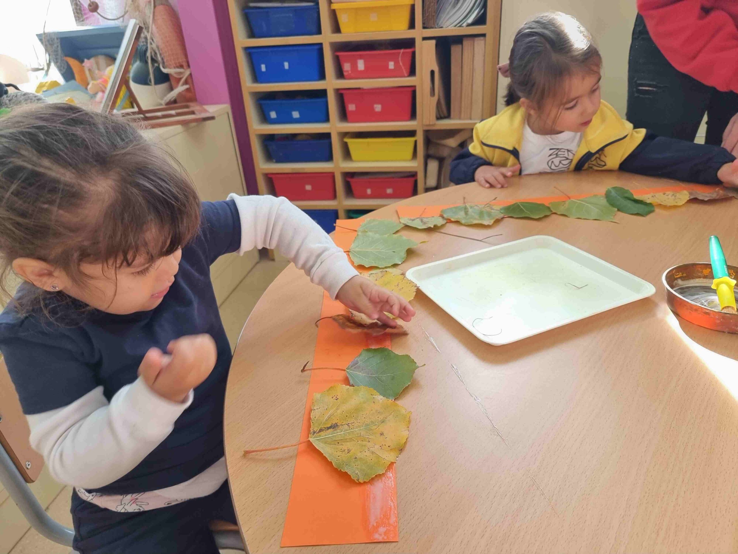 sortida_tardor_infantil (26)