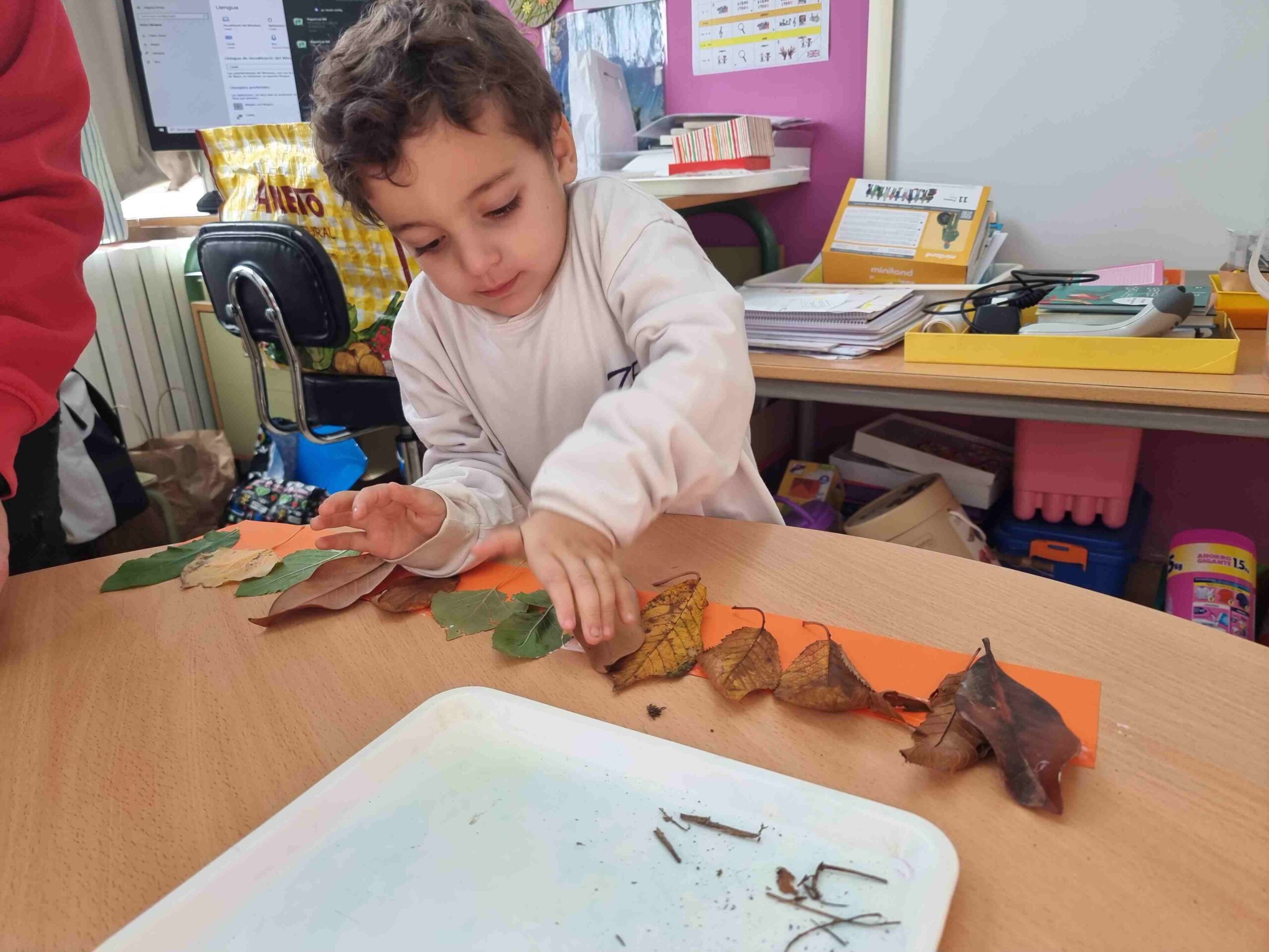 sortida_tardor_infantil (27)