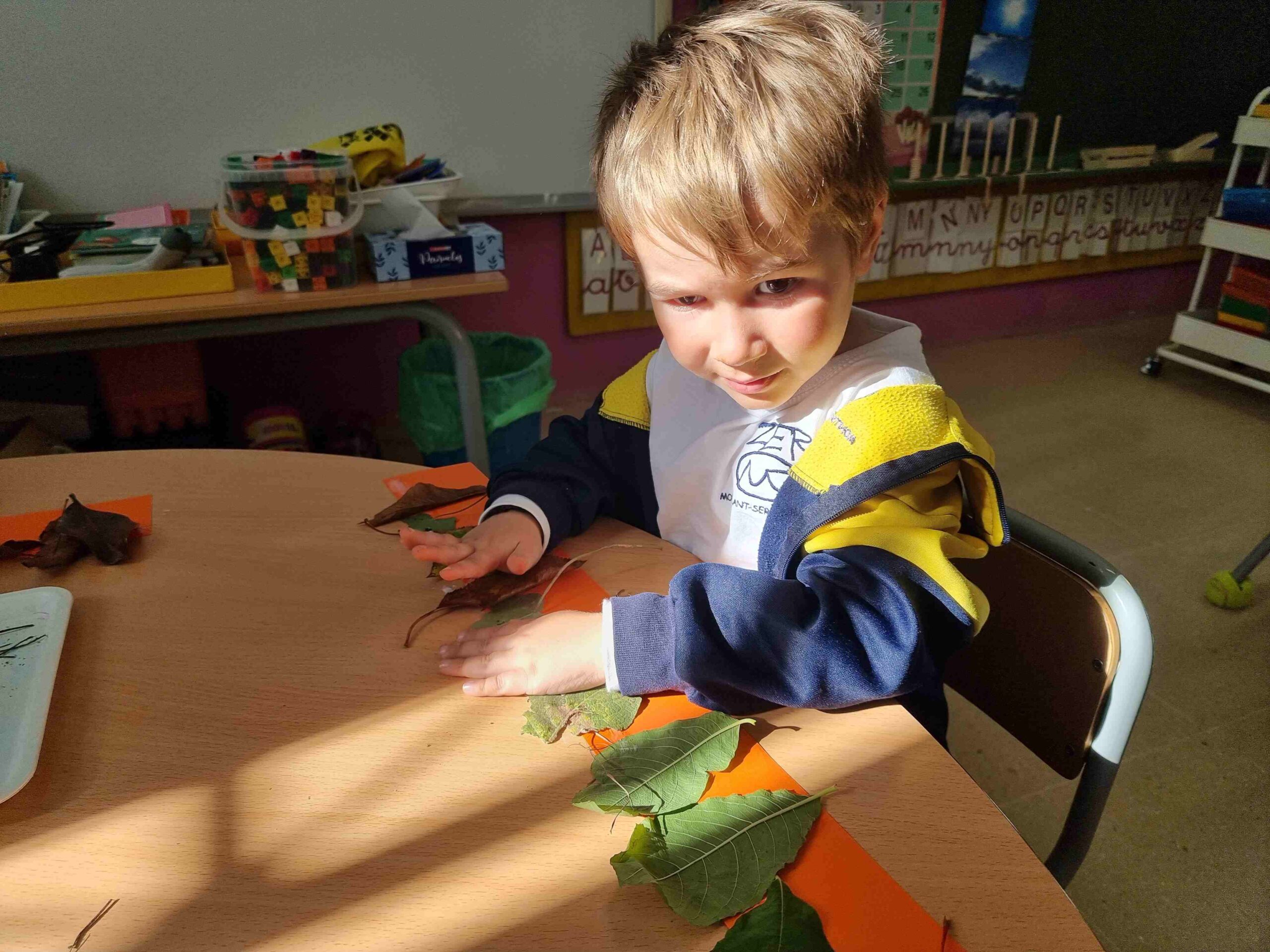 sortida_tardor_infantil (29)