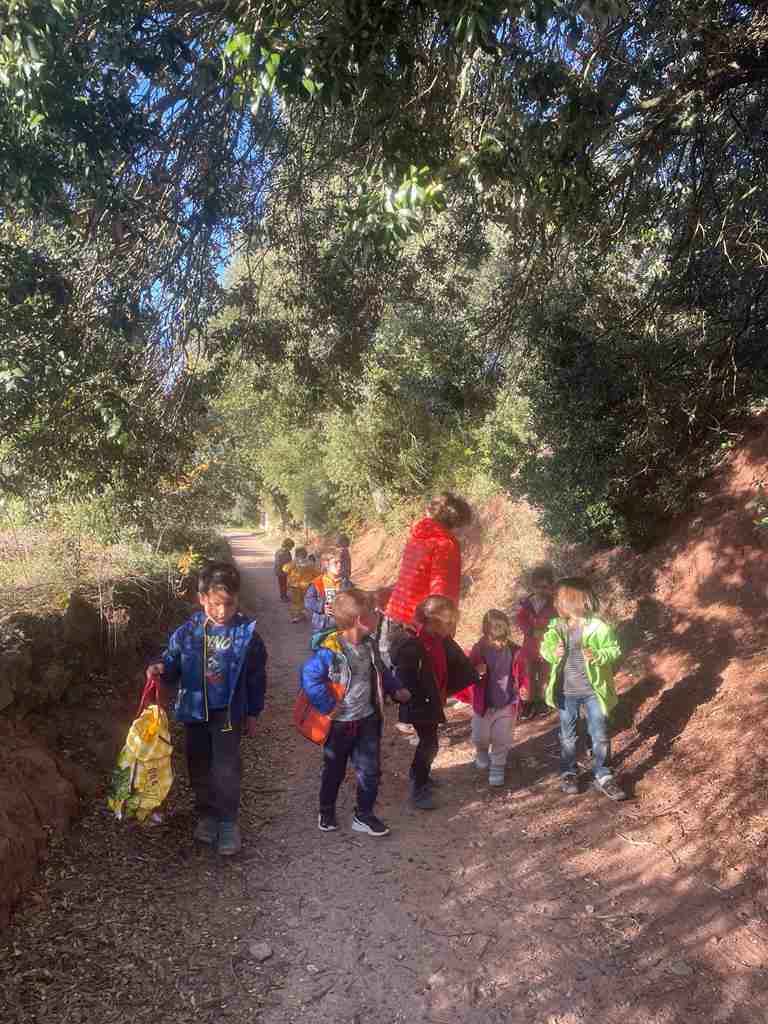 sortida_tardor_infantil (39)