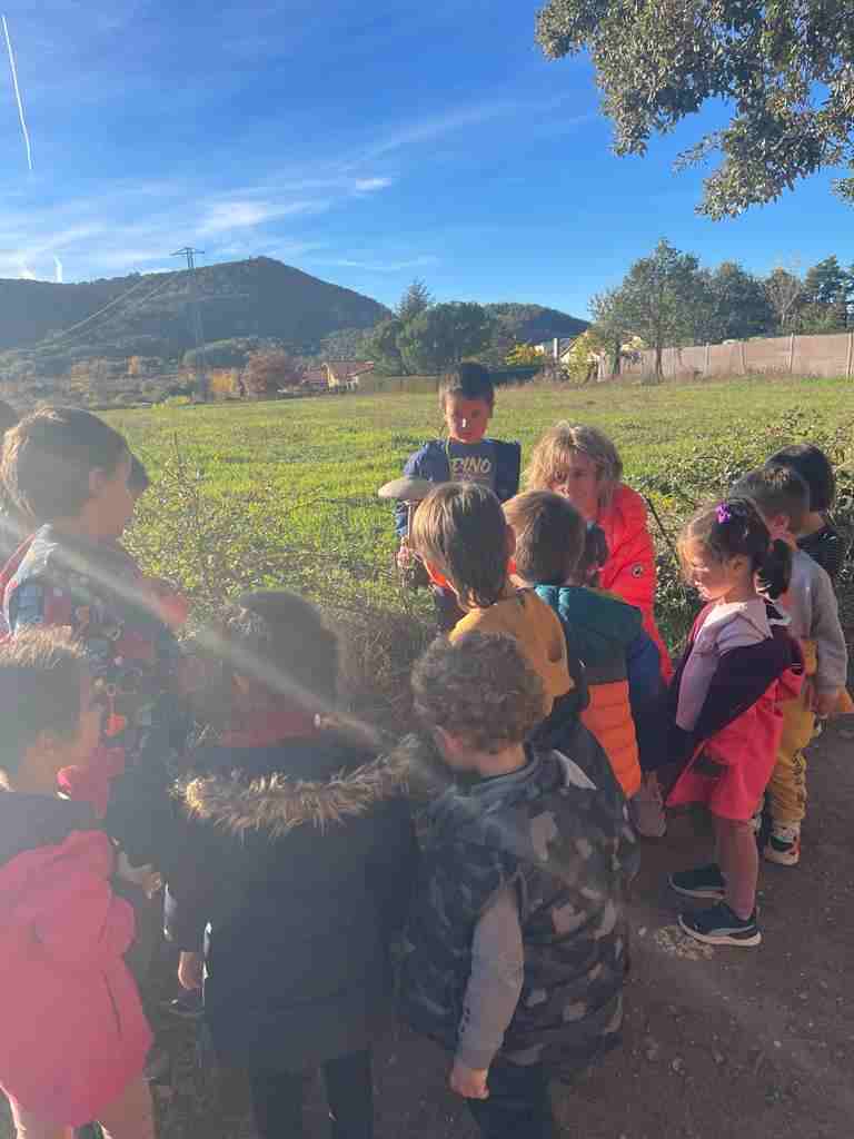 sortida_tardor_infantil (4)