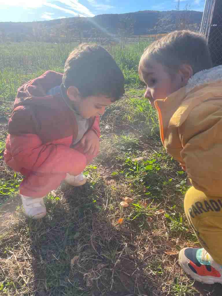 sortida_tardor_infantil (40)