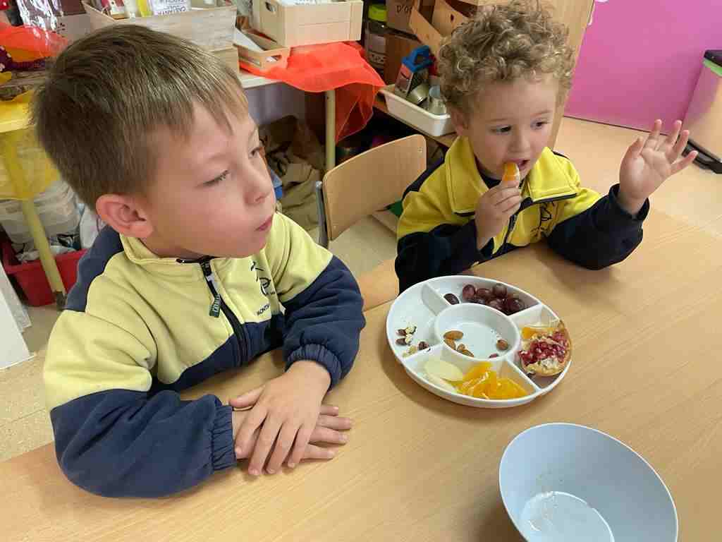 tastet_fruits_tardor (1)