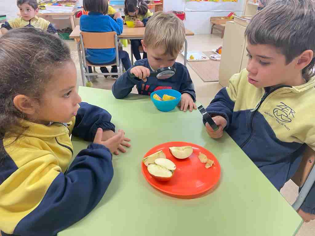 tastet_fruits_tardor (10)