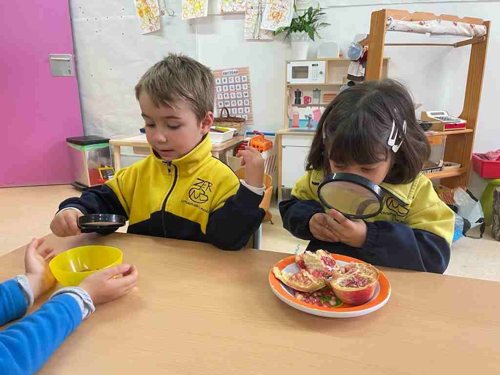 tastet_fruits_tardor (11)