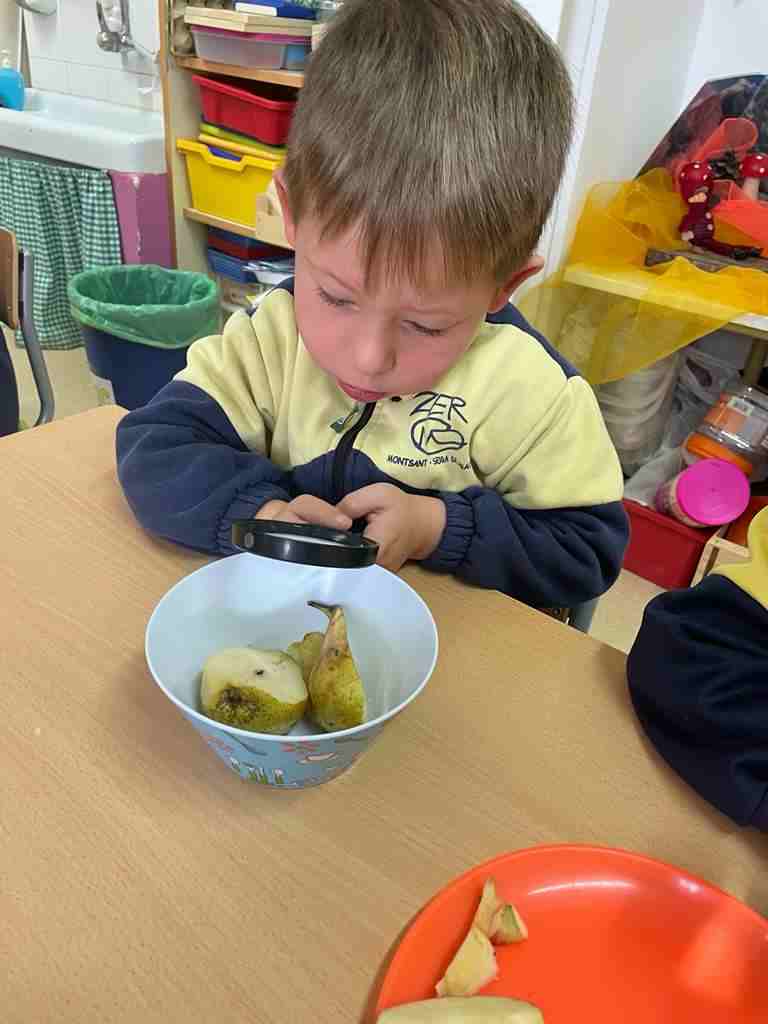 tastet_fruits_tardor (14)