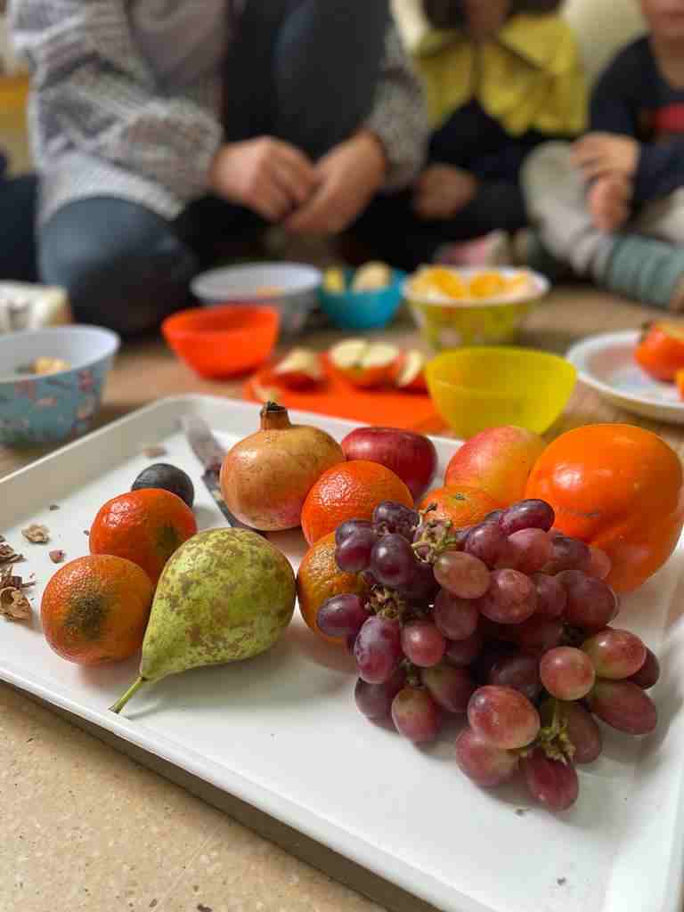 tastet_fruits_tardor (16)