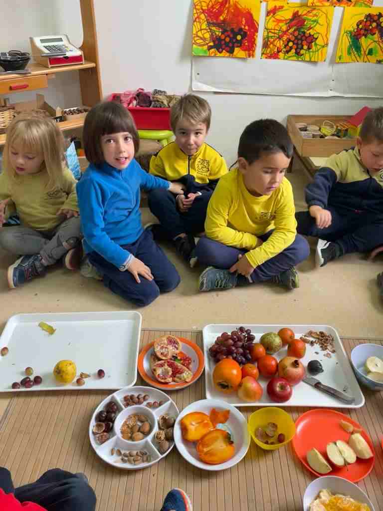 tastet_fruits_tardor (17)