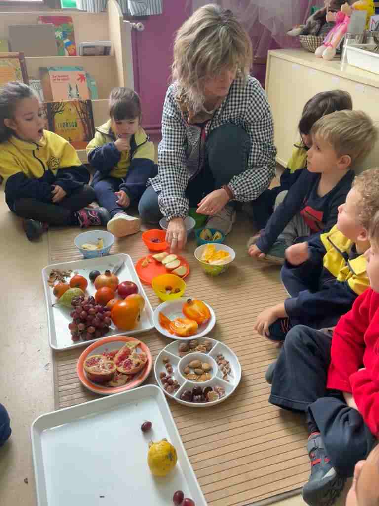 tastet_fruits_tardor (19)