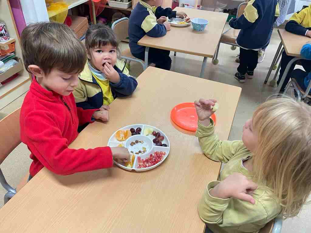 tastet_fruits_tardor (4)