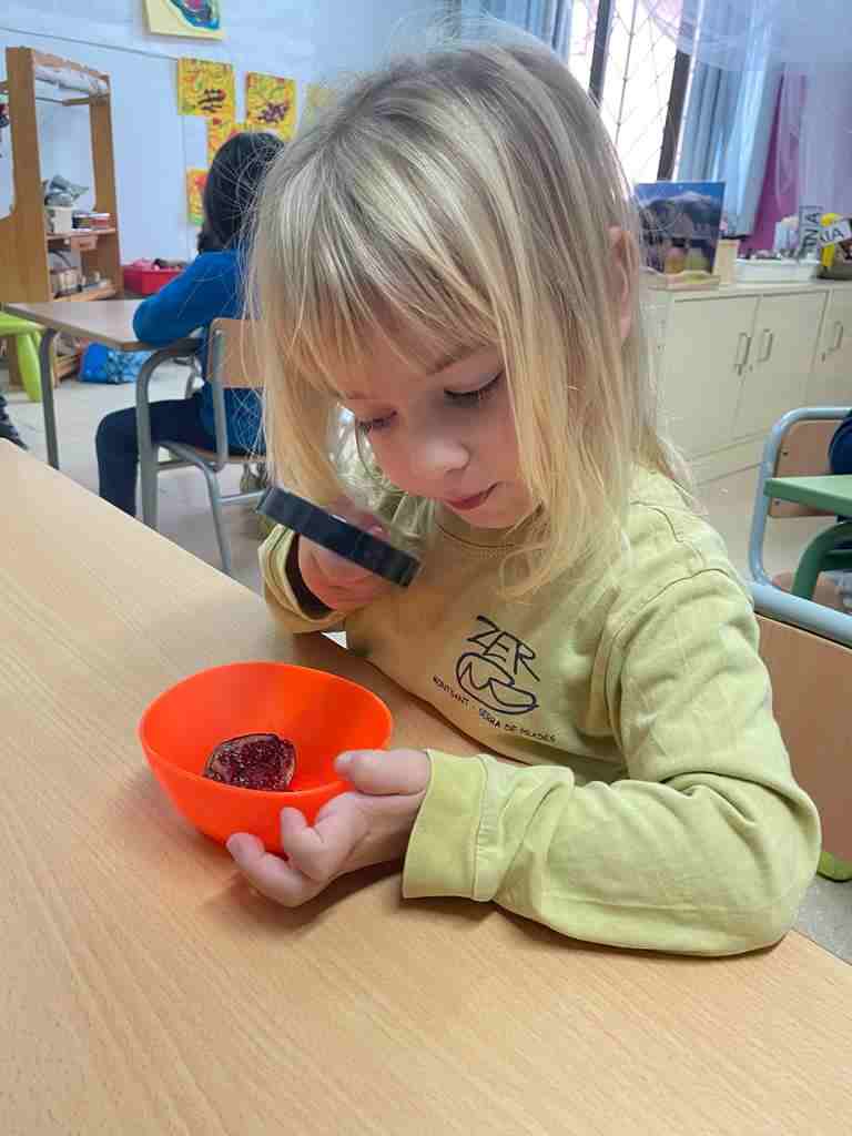 tastet_fruits_tardor (5)