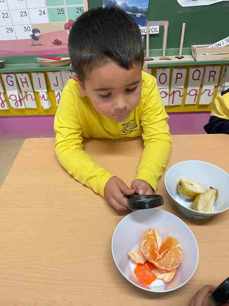 tastet_fruits_tardor (6)