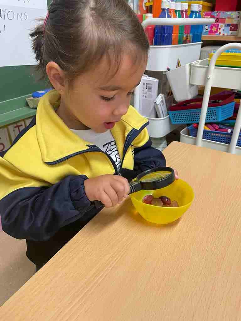 tastet_fruits_tardor (7)