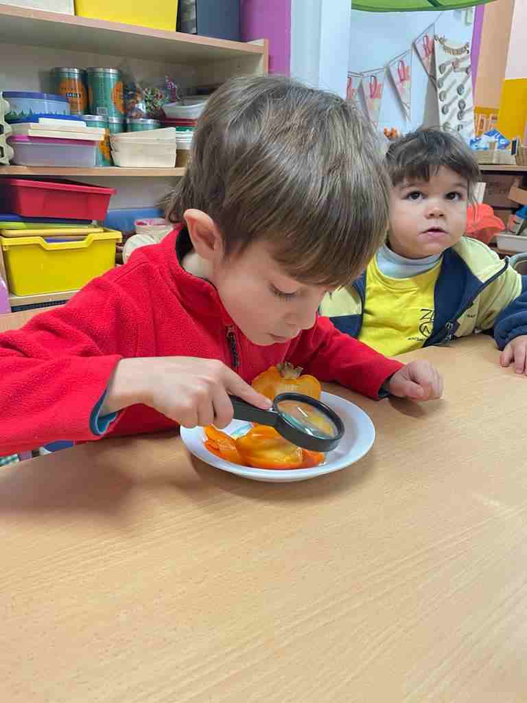 tastet_fruits_tardor (8)