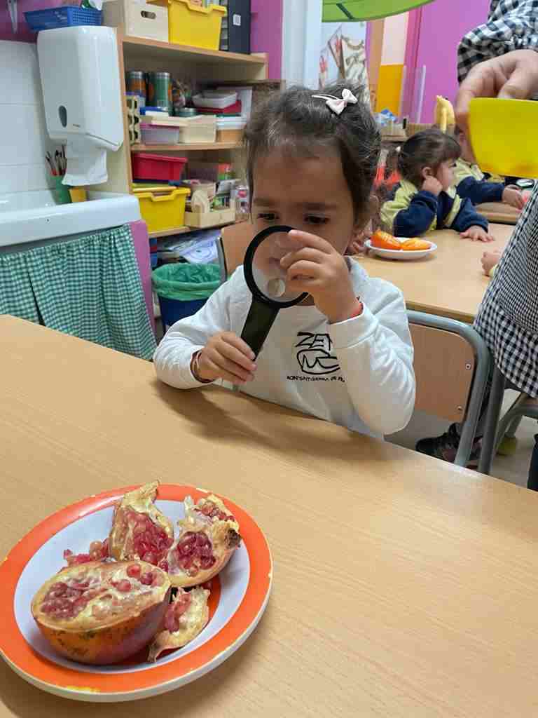 tastet_fruits_tardor (9)