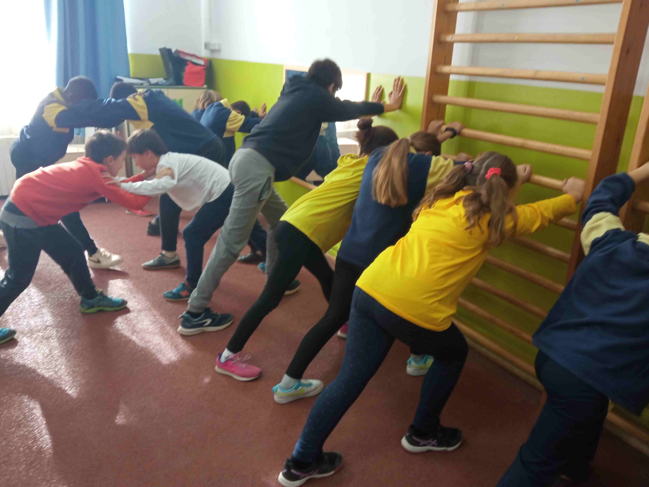 visita fisioterapeuta (1)