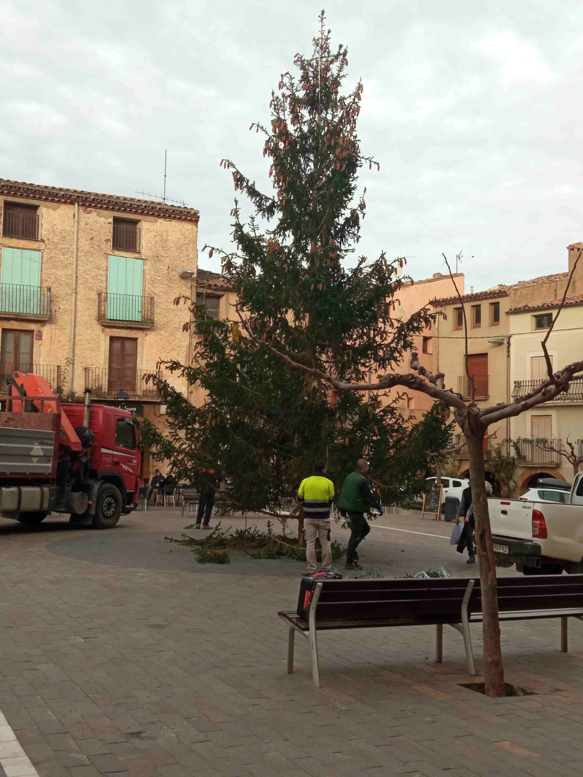 activitats prenadal_1 (8)