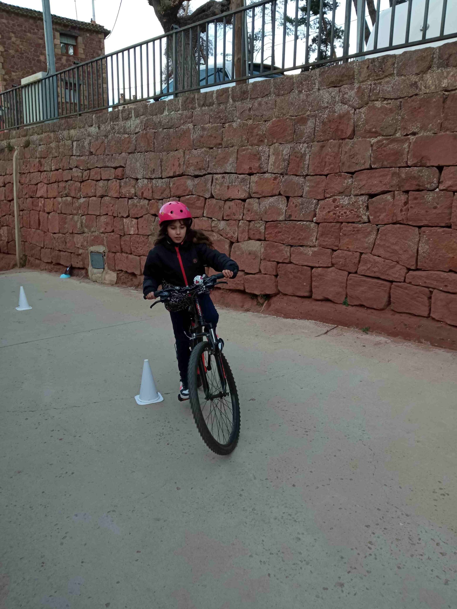 bicis_mobilitat (28)