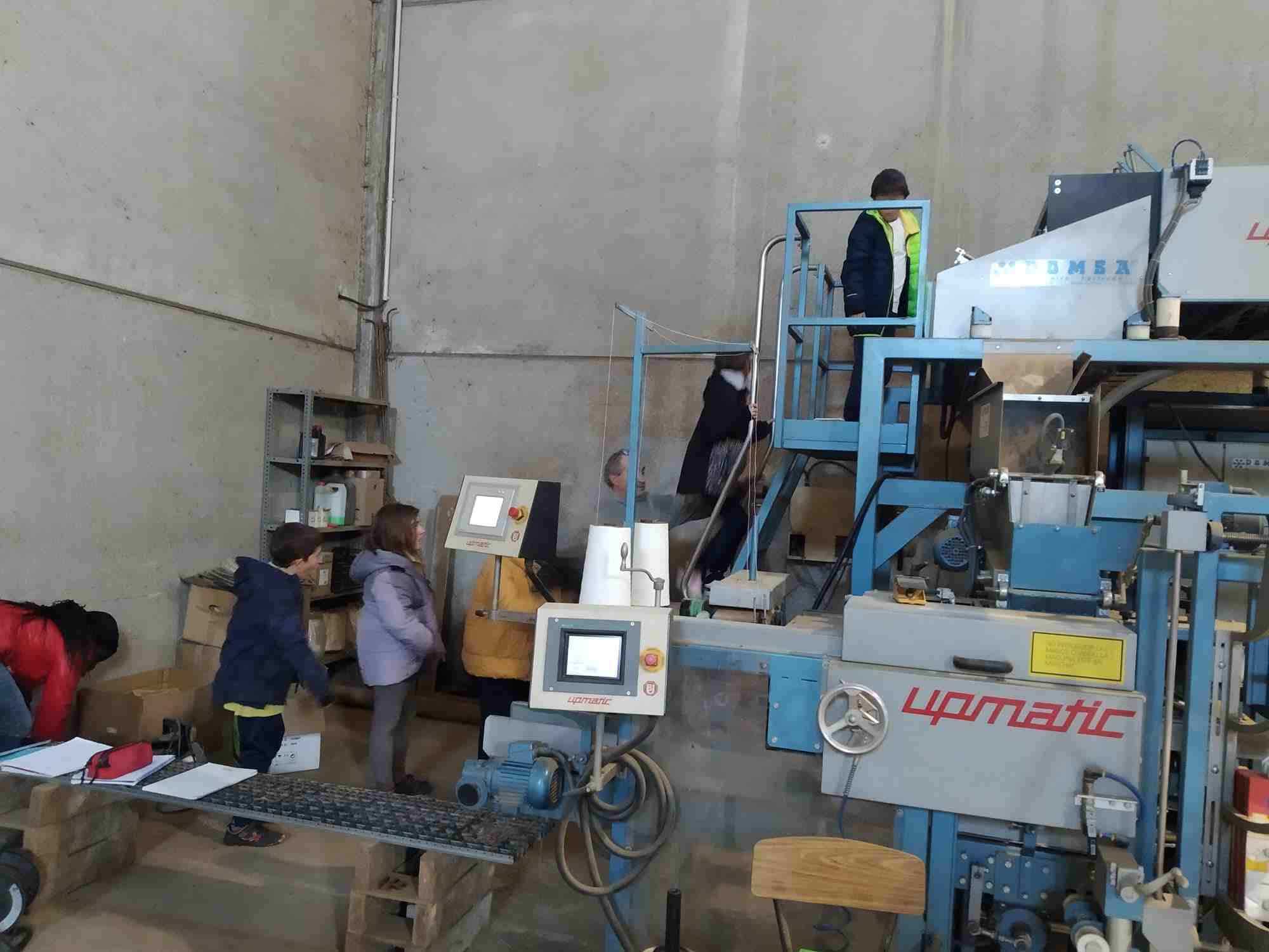 cooperativa cm patates (1)